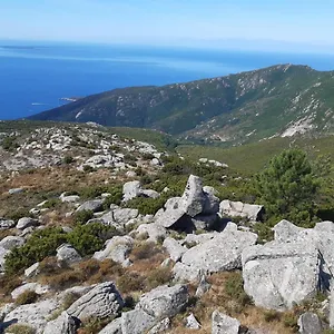 Il Pastore Tedesco Portoferraio